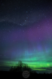 The Big Dipper constellation makes a dramatic appearance in a sky full of Northern Lights