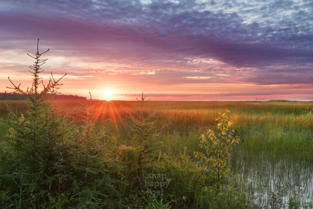 pink-purple-northern-Michigan-wetland-sunset-07161925