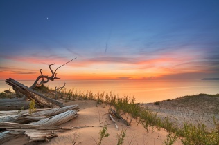 Photo: After-sunset glow at a ghost forest perched over Lake Michigan