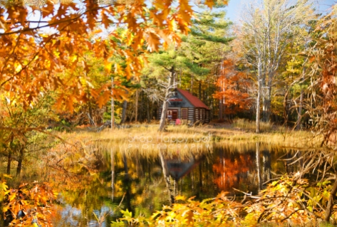 Photo: log cabin, fall pond reflections