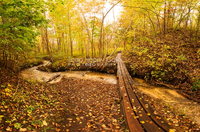 Photo: footbridge crossing a small creek in fall woods