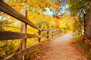 Photo: fall color and a fence line a hiking trail