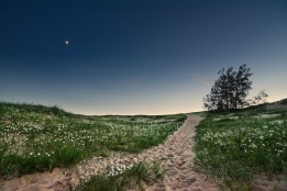 Photo: A crescent moon hangs in the twilight over a trail in the Sleeping Bear Dunes