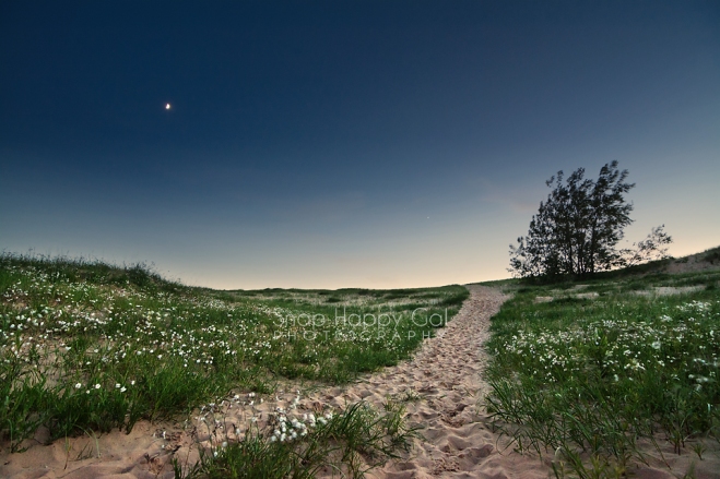 Photo: A crescent moon hangs in the twilight over a trail in the Sleeping Bear Dunes