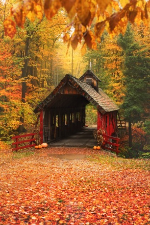 Golden fall colors surround the Loon Song/Joshua's Crossing Covered Bridge in Northern Michigan
