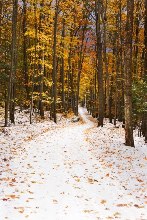 A November snow enhances remaining fall color on a winding Leelanau County country road