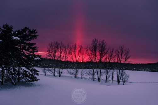 Winter's Flame - A vibrant sun pillar forms over a snowy pasture in northern Michigan
