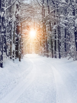 Warm light beams onto a snow covered back road in northern Michigan