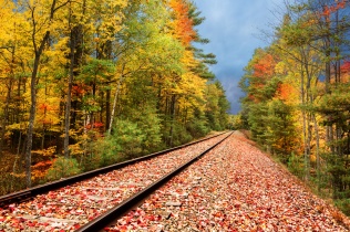 A railway punches through a fall woods under moody skies