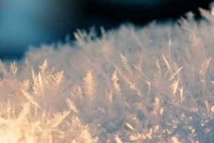 macro-frost-crystals-01191558